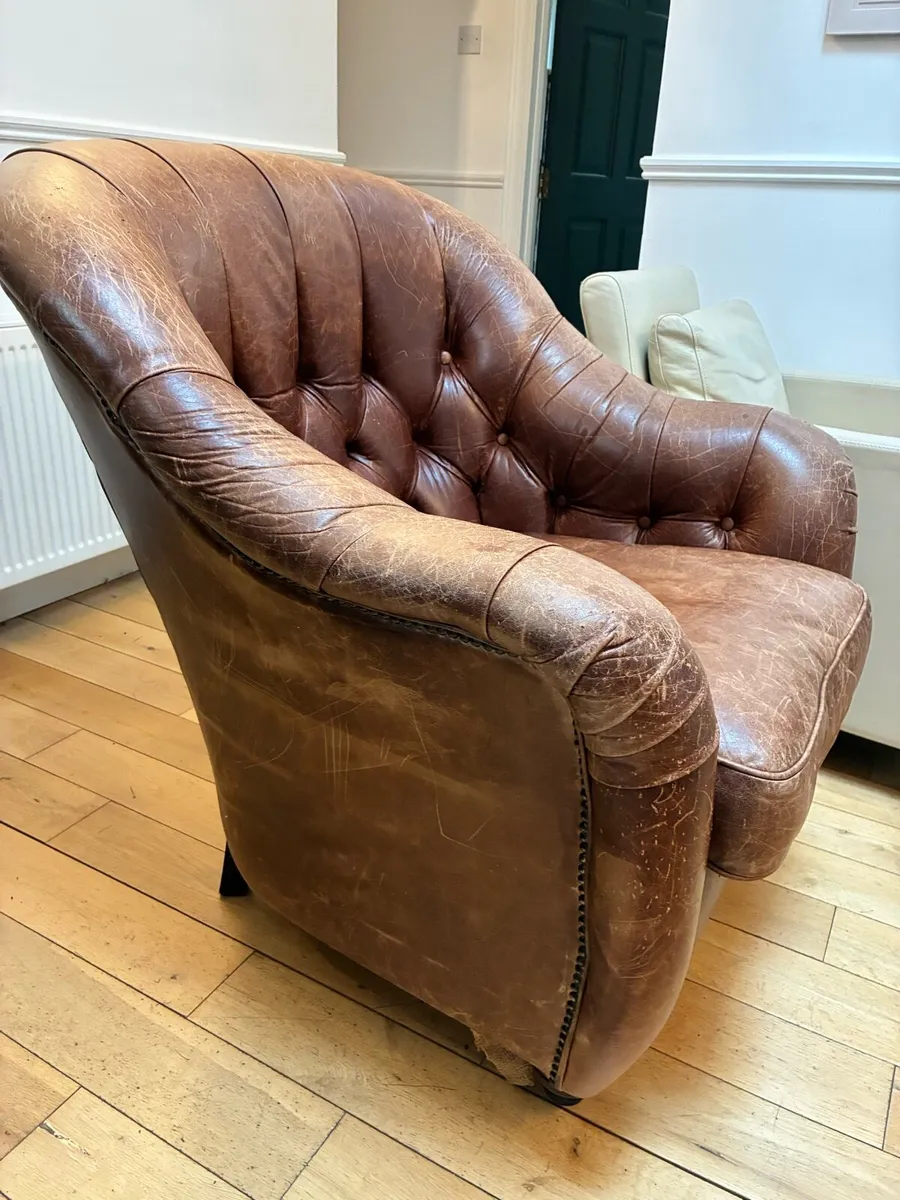 Arm chair Laura Ashley leather - Image 2