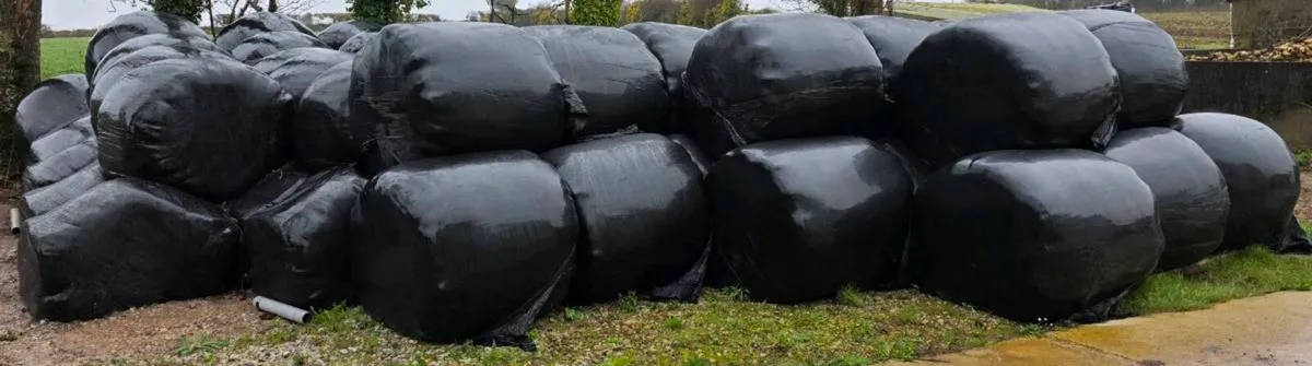 Baled Silage For Sale