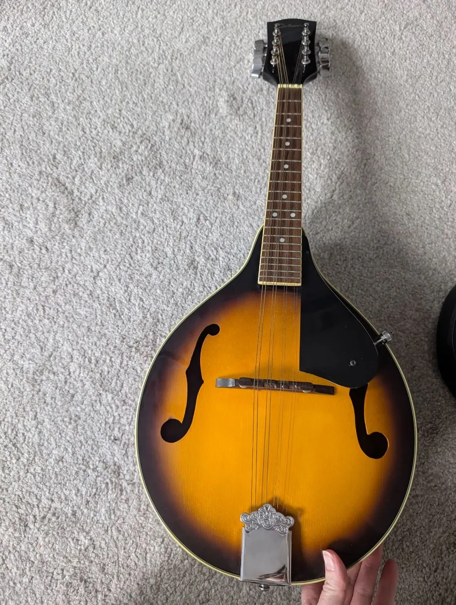 Richwood Mandolin - Image 3