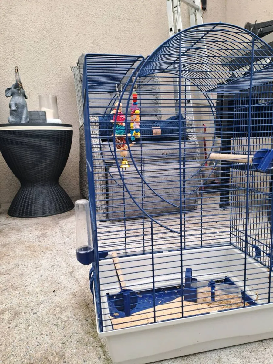 Bird cage - Image 1