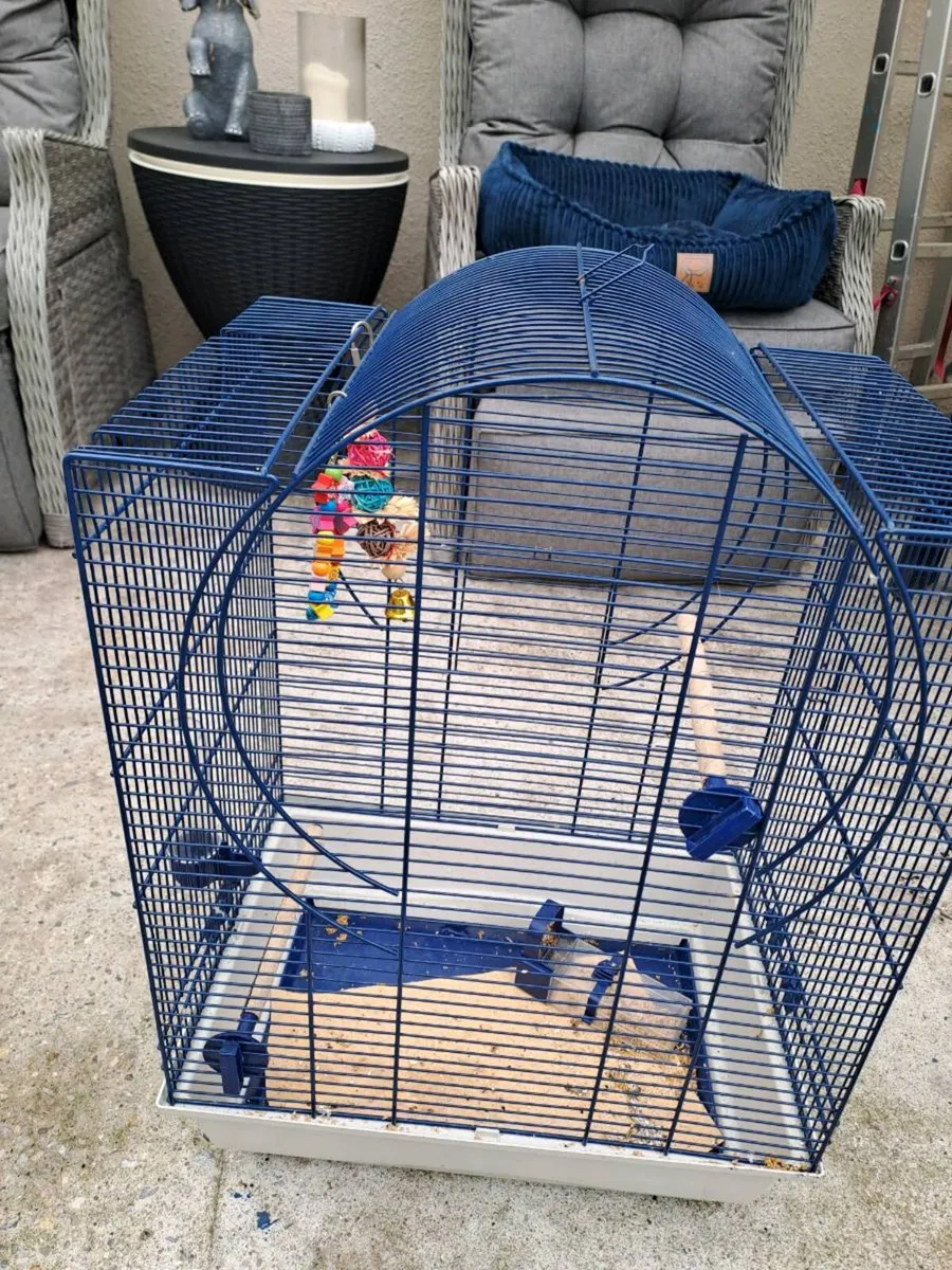 Bird cage - Image 2
