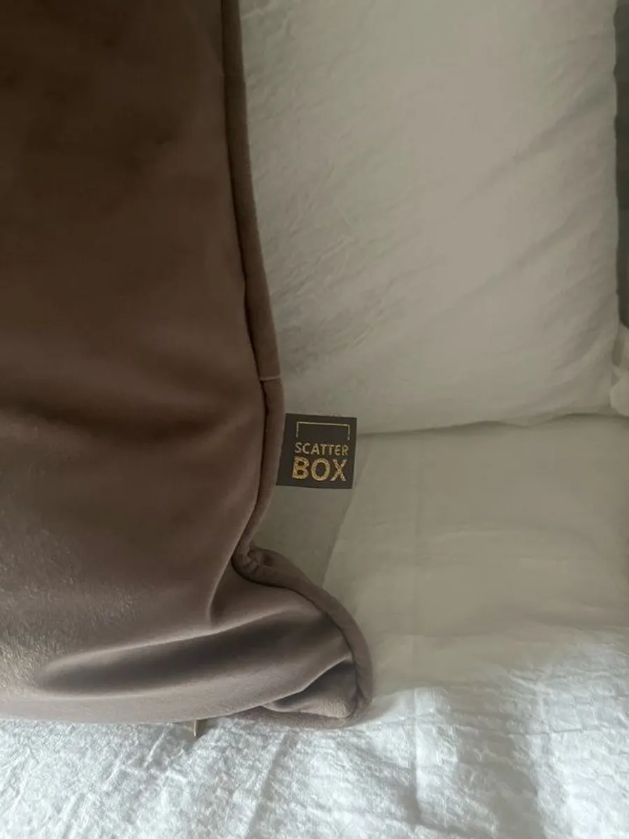 Scatterbox Bellini Mink Velour Cushions Brand New x2 - Image 4