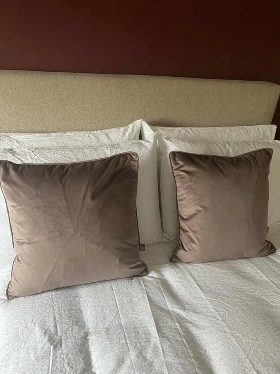 Scatterbox Bellini Mink Velour Cushions Brand New x2 - Image 1