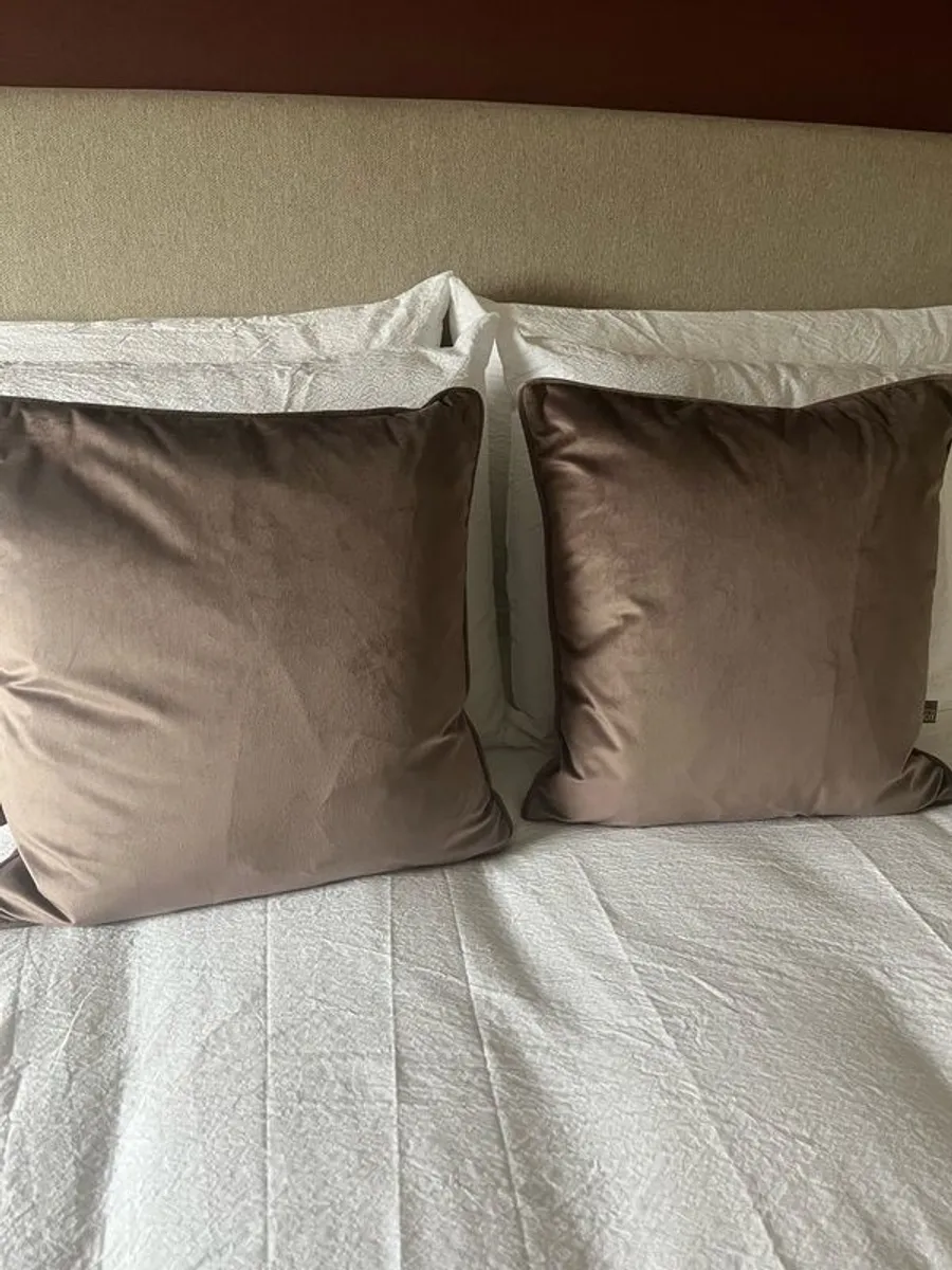 Scatterbox Bellini Mink Velour Cushions Brand New x2 - Image 2