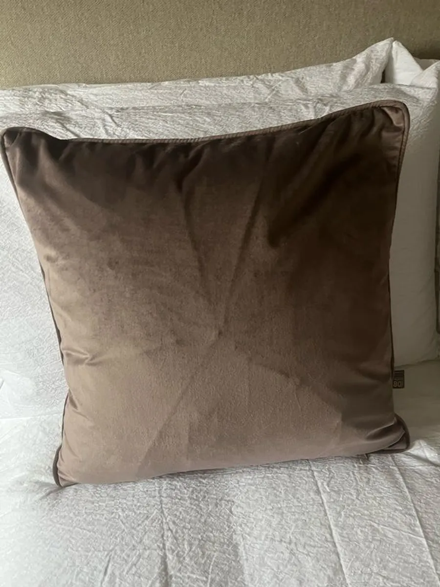 Scatterbox Bellini Mink Velour Cushions Brand New x2 - Image 3