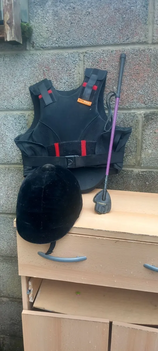 Horse riding gear - Image 1