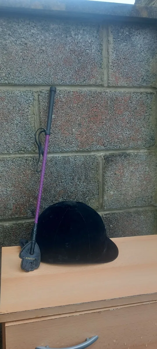 Horse riding gear - Image 3