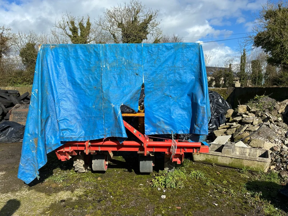 Checchi & magli cabbage planter - Image 2