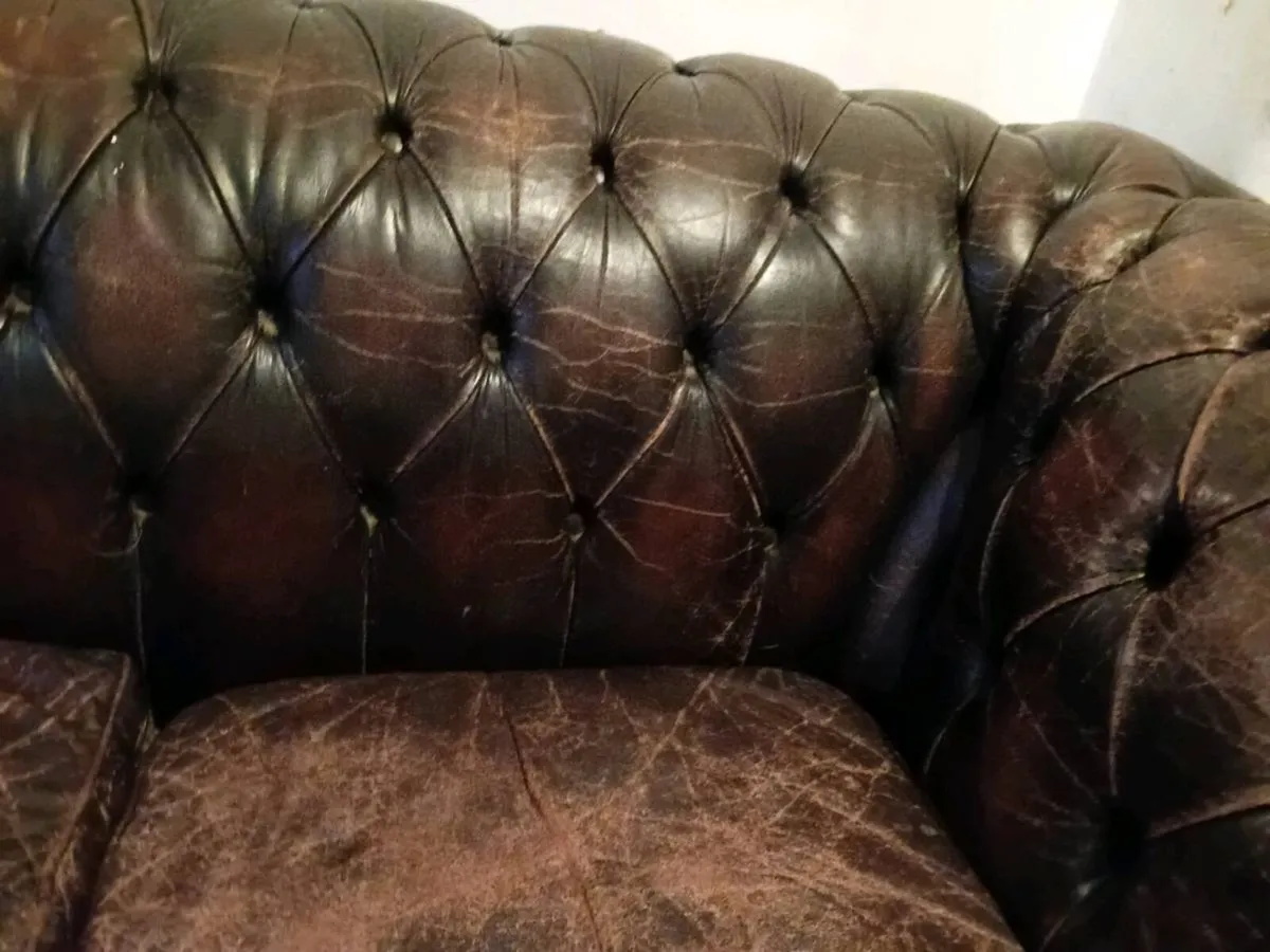 antique cigar brown deep button chesterfield - Image 4