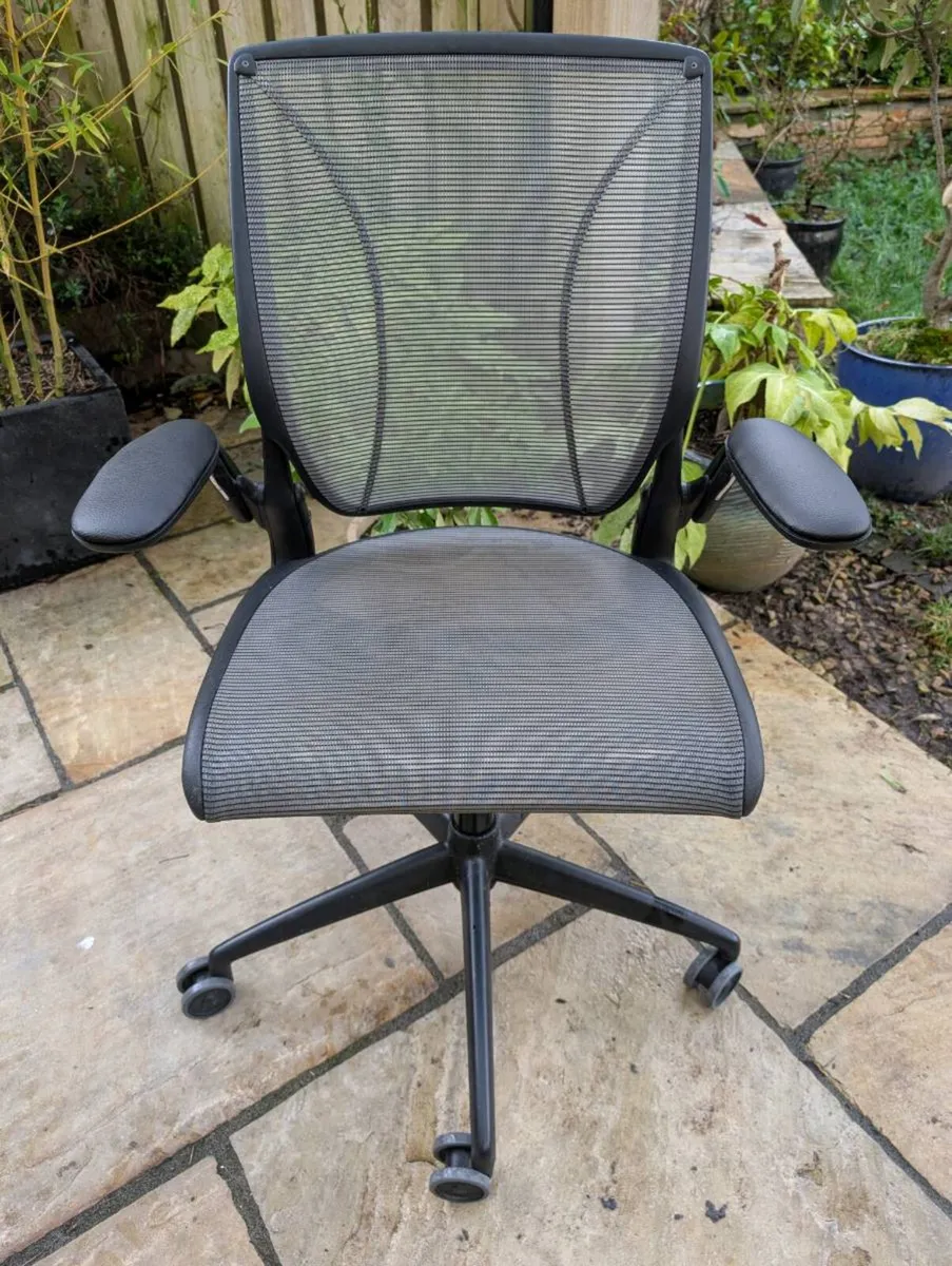 Ergonomic office chair - Image 1