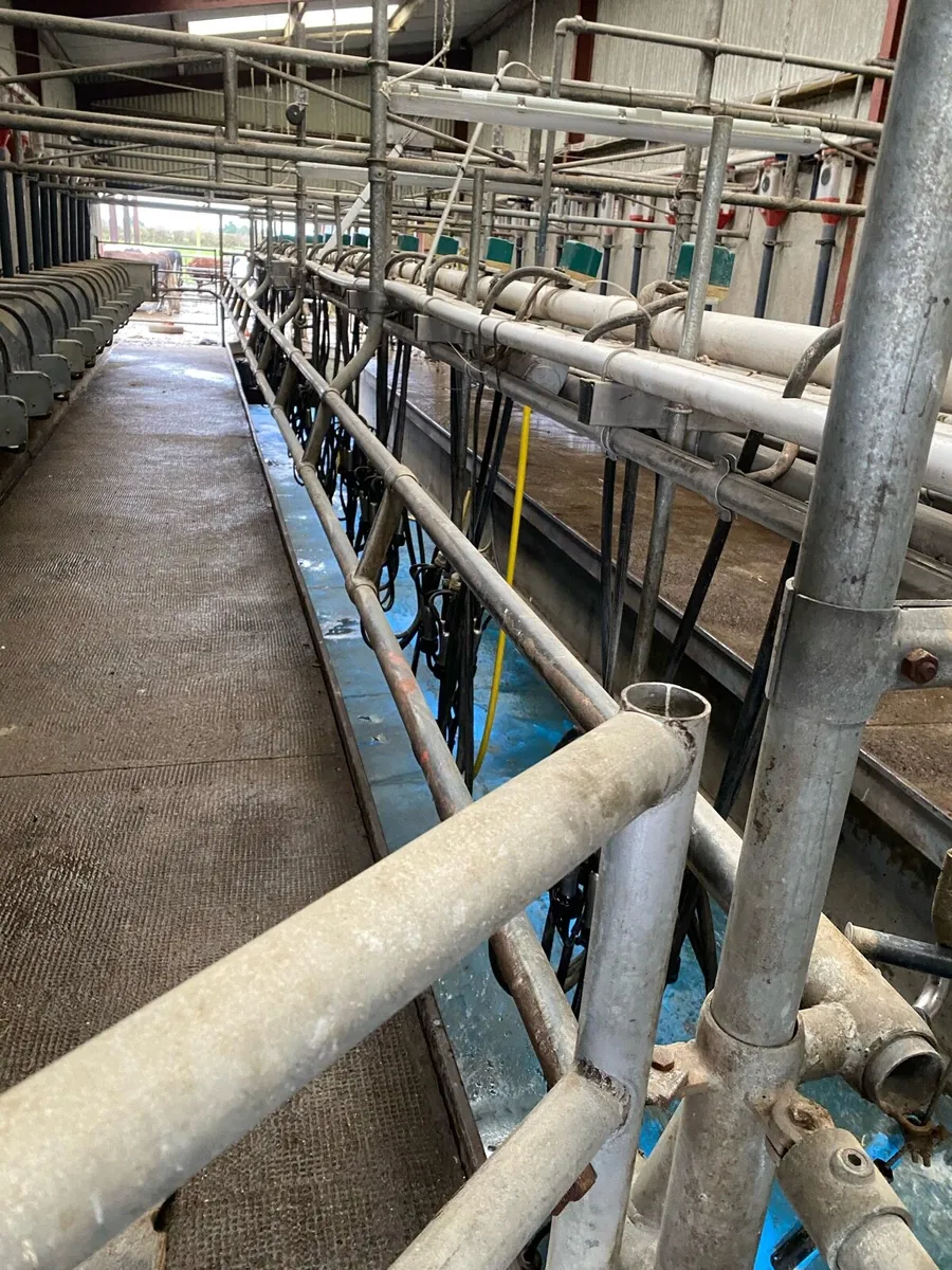 Milking parlour - Image 1