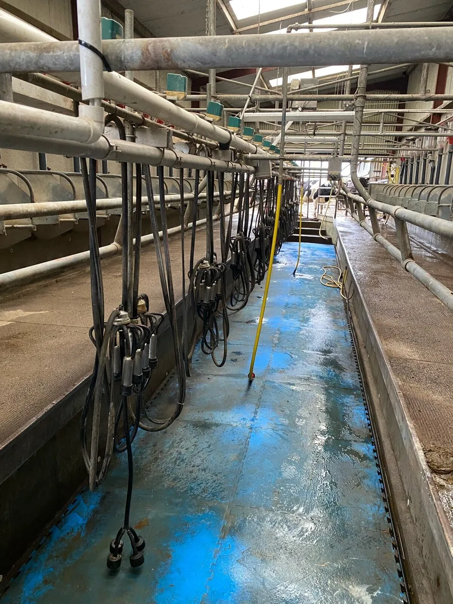 Milking parlour - Image 3