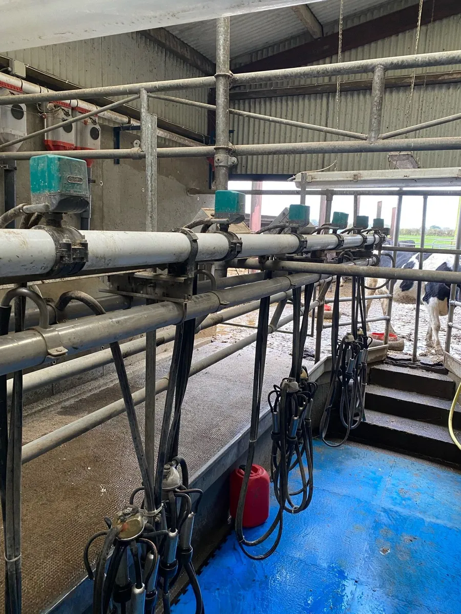 Milking parlour - Image 4