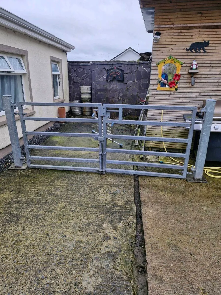 9 ft gates - Image 1