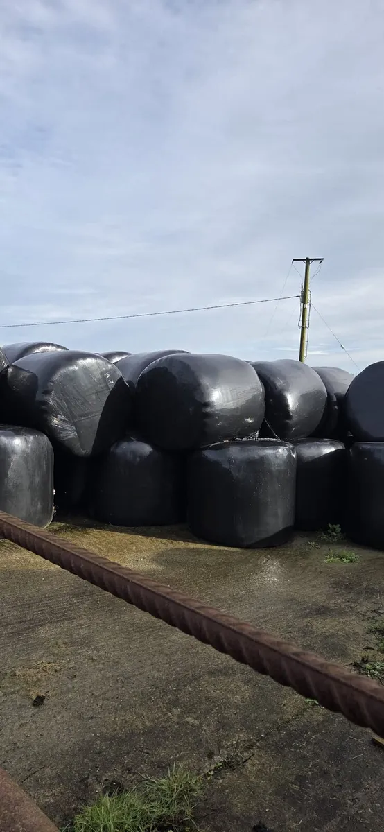 Bales of sillage x 35 for sale