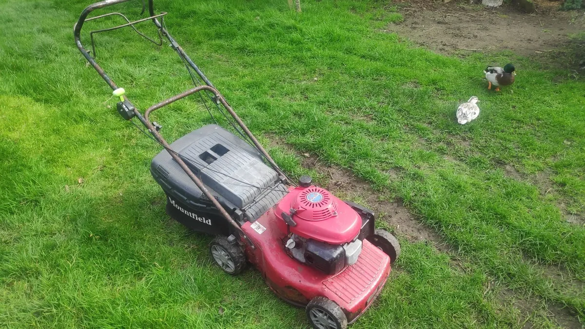 Mountfiled/Honda self drive Lawnmower - Image 2