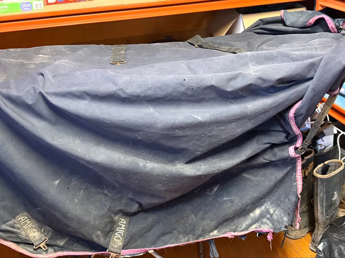 Horse equipment - Image 2