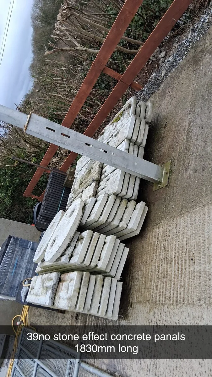 Black pan tiles, concrete panels, ridge tiles - Image 4