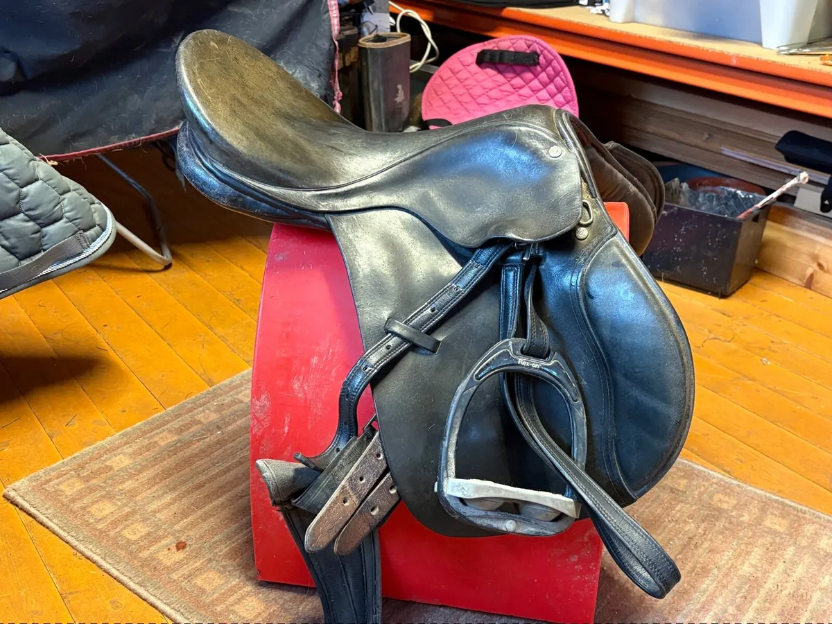 Horse equipment - Image 1