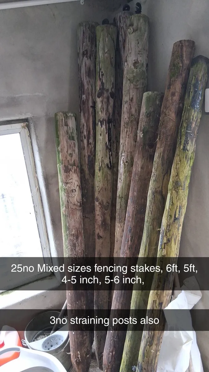 Fencing stakes and gates - Image 2