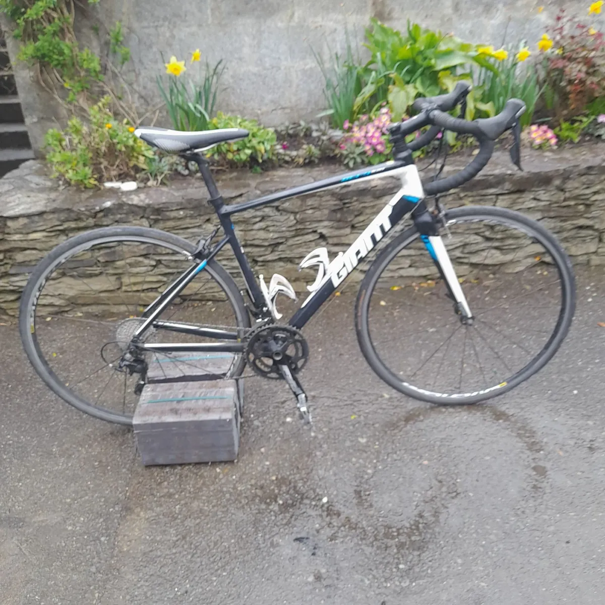 Road bike - Image 1