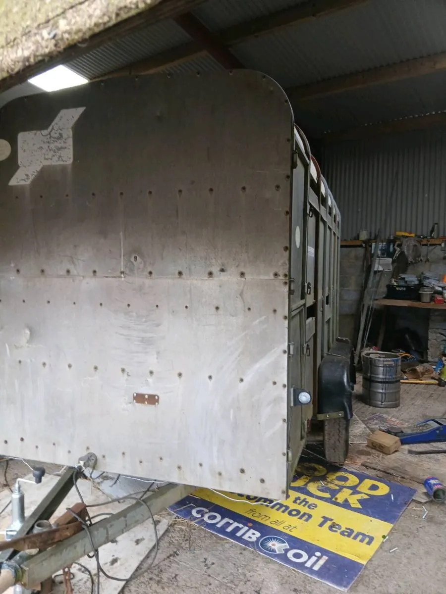 Ifor  williams12by5 cattle  trailer cal 0868782672 - Image 2