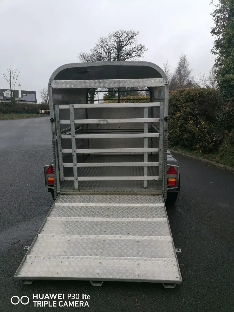 Murphy of Kerry 8x5 Trailer - Image 1