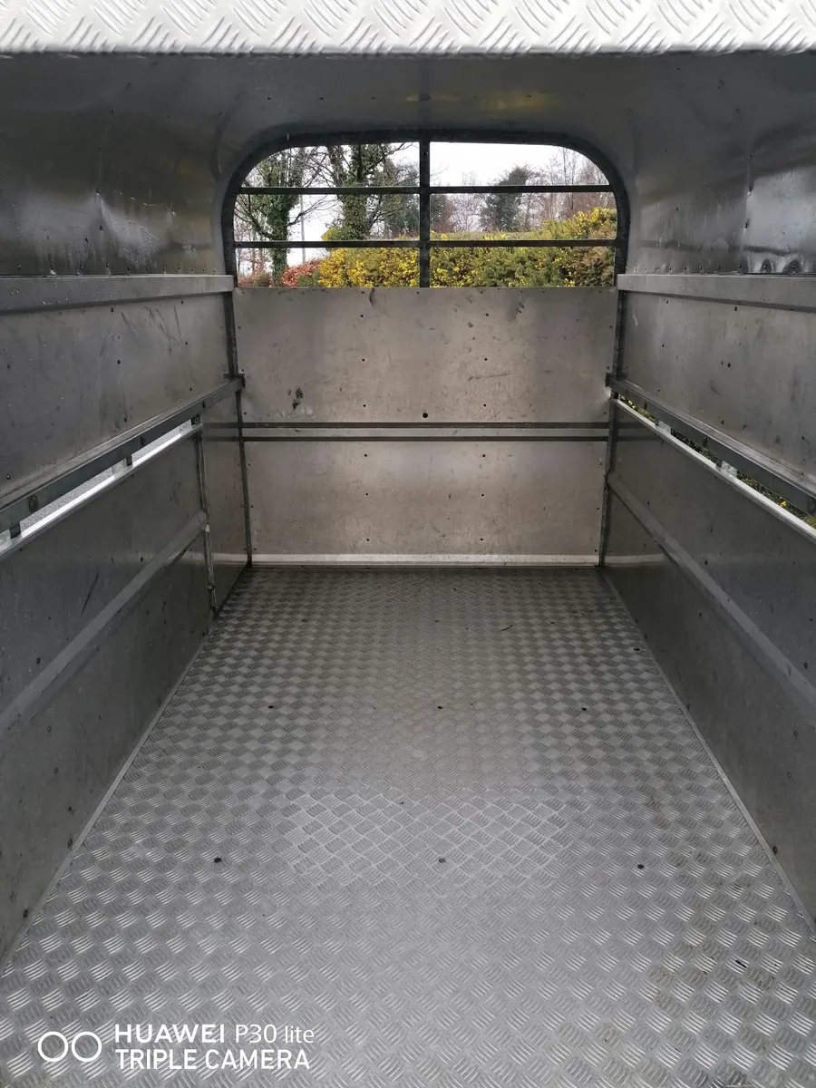 Murphy of Kerry 8x5 Trailer - Image 3