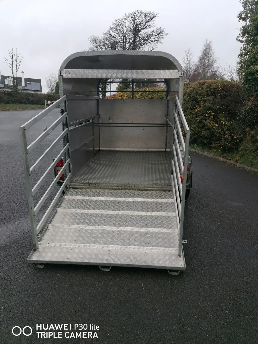 Murphy of Kerry 8x5 Trailer - Image 4