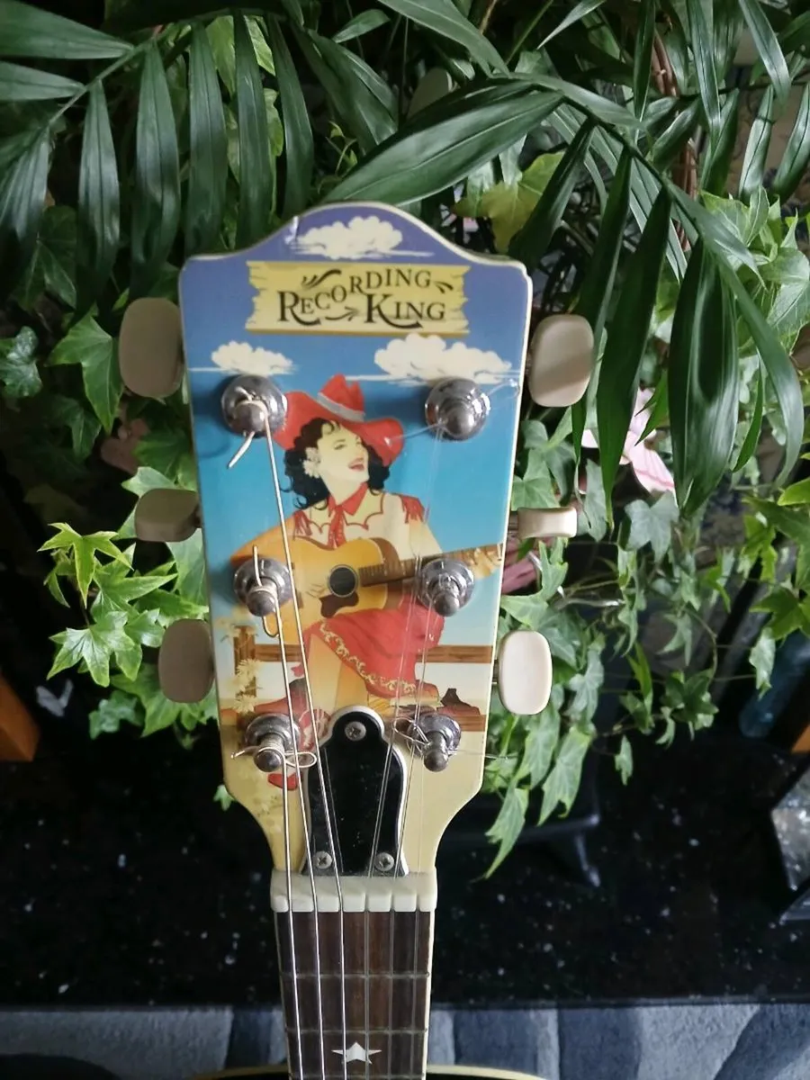 Rodeo King "Cowgirl" Art Series Acoustic - Image 3