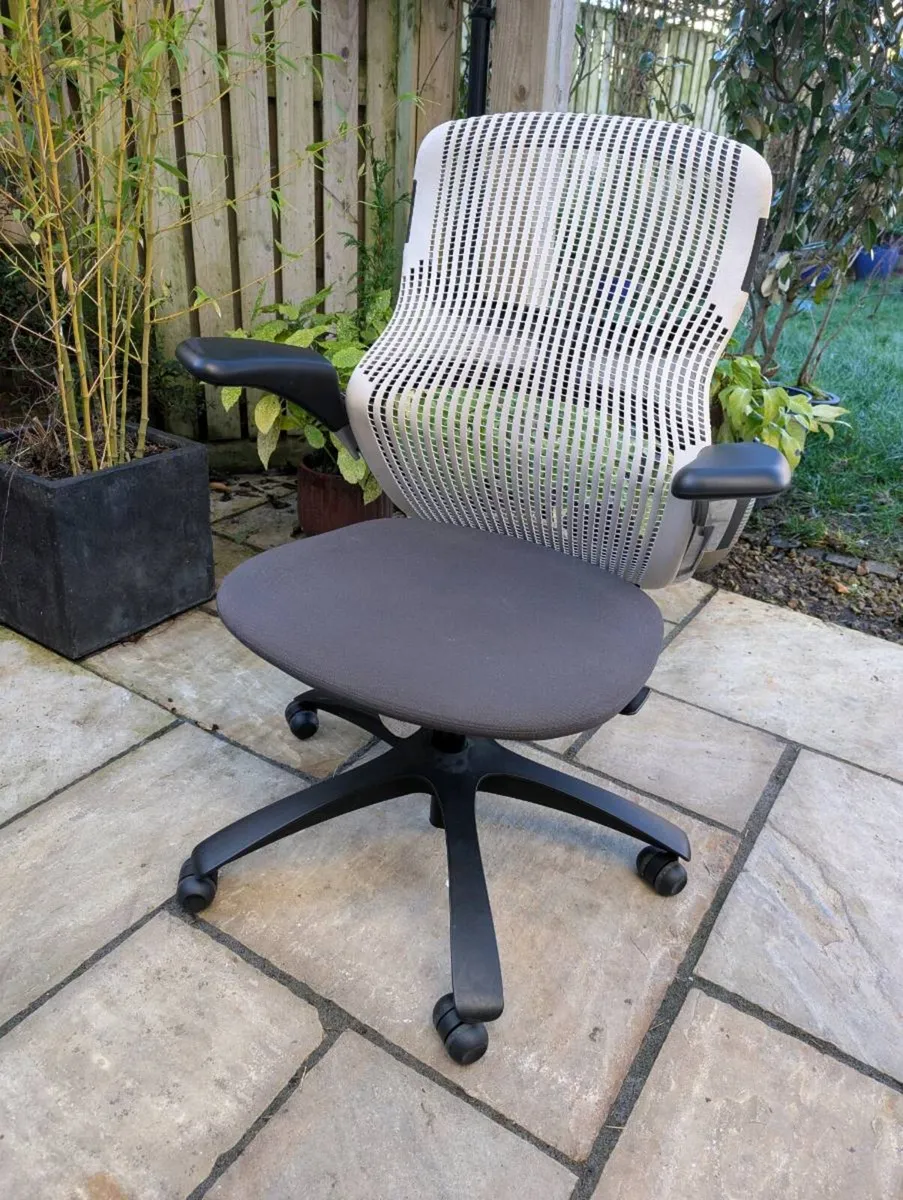 Ergonomic office chair - Image 1
