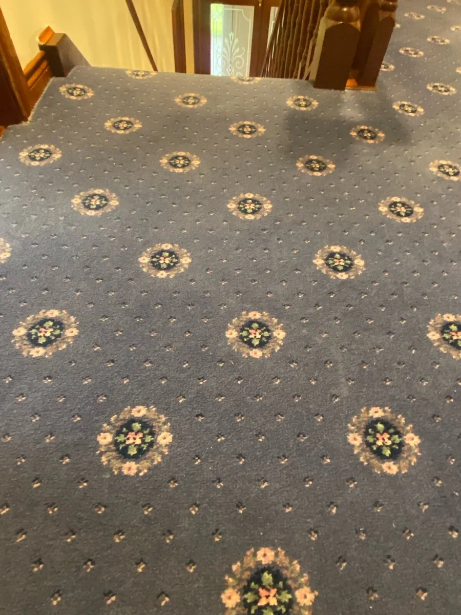 Carpet - Image 1