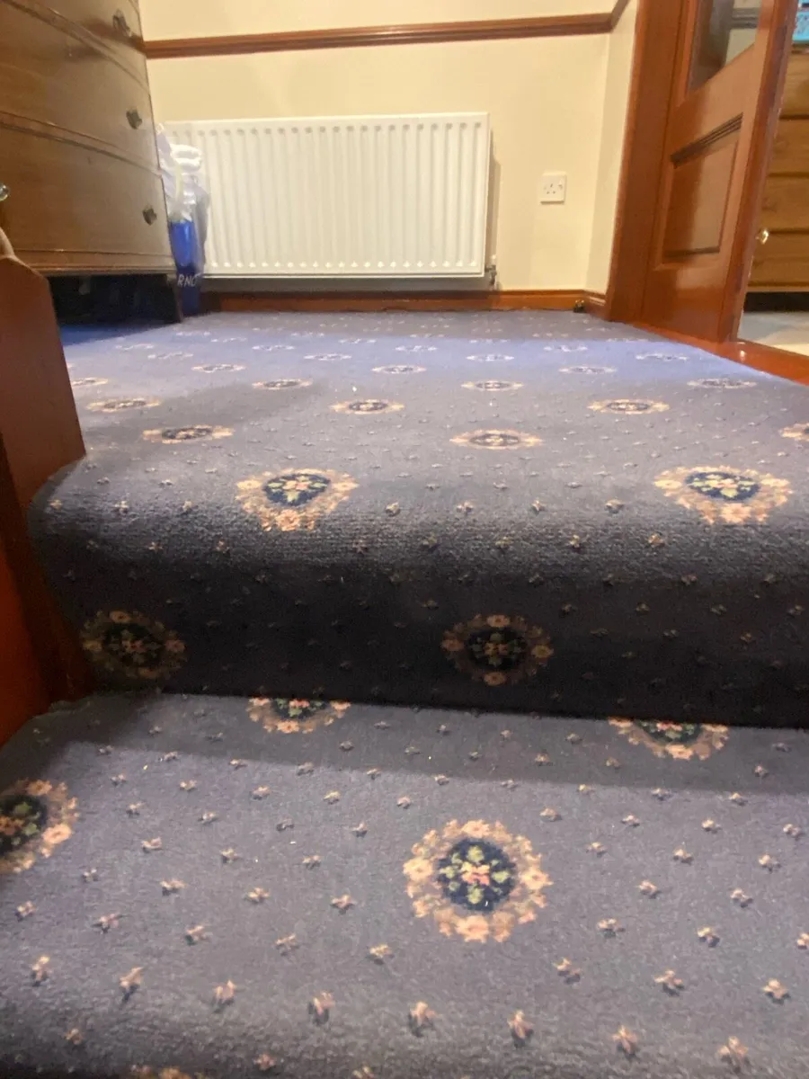 Carpet - Image 3