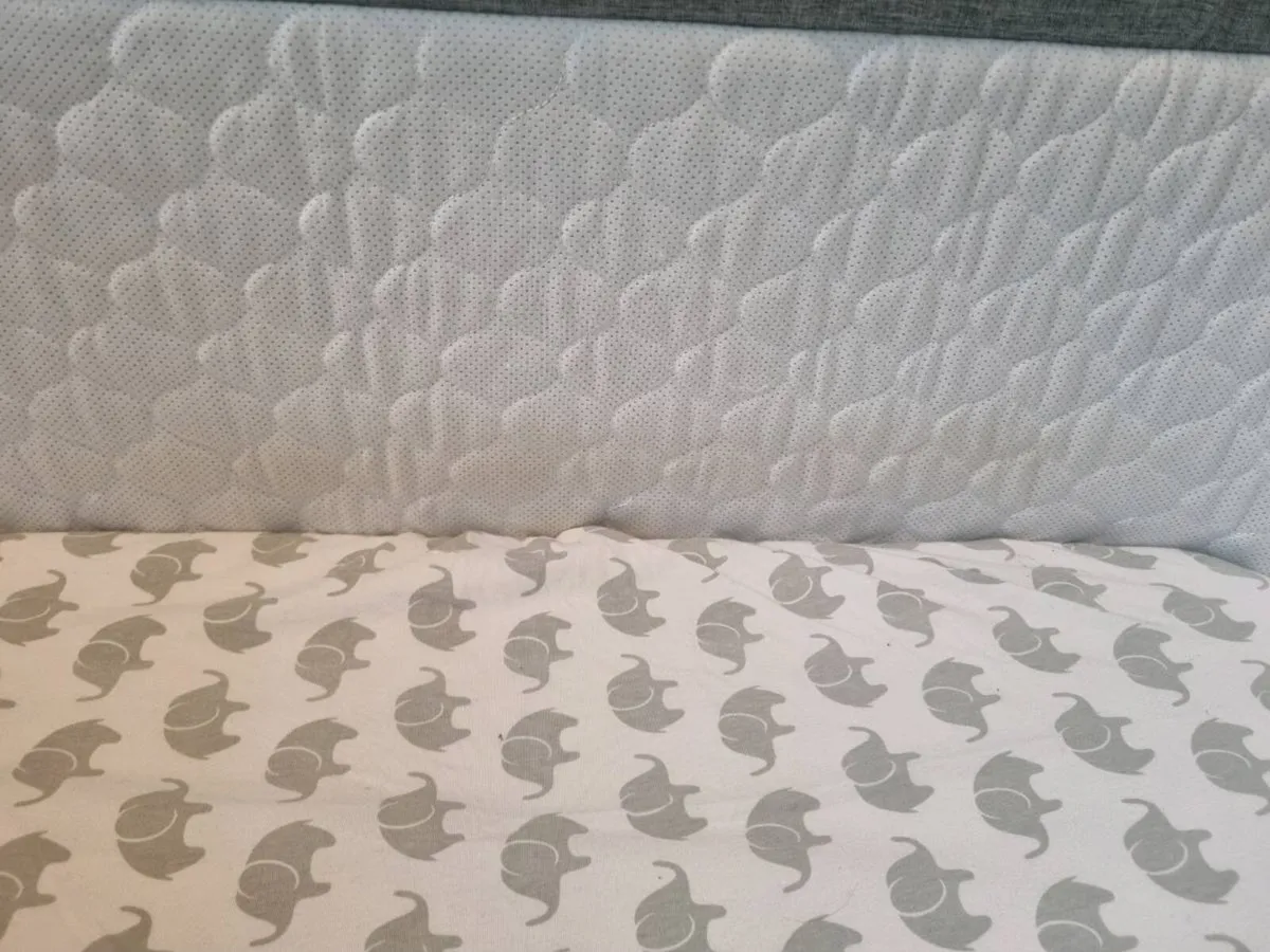 Babylo next to me - Image 4