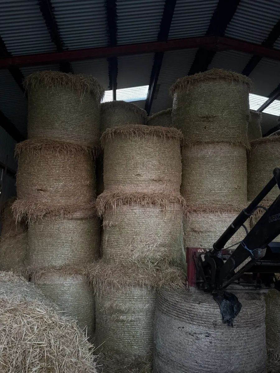 Hay/ Straw & Silage - Image 1