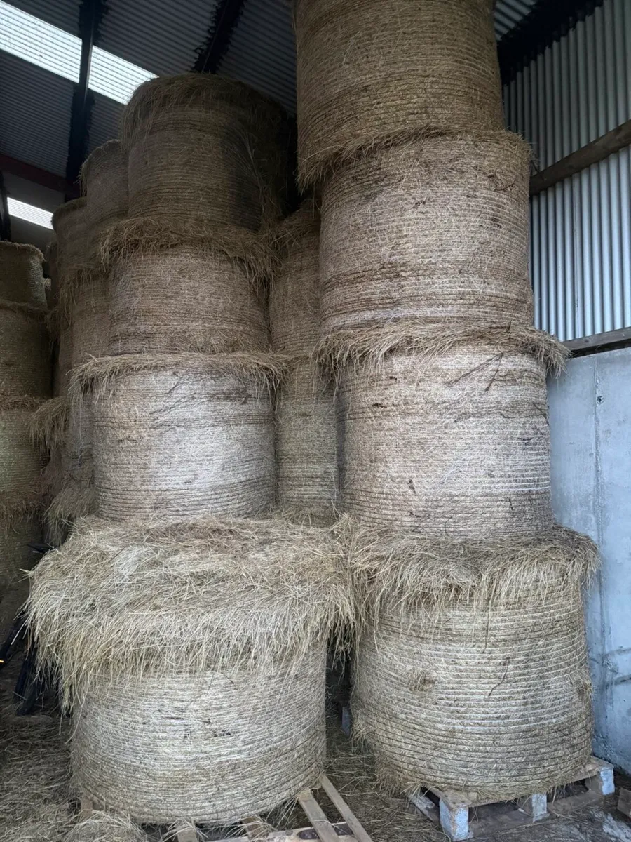 Hay/ Straw & Silage - Image 2