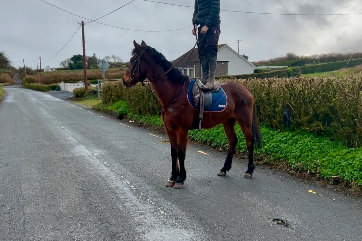 Happy hacker - Image 1