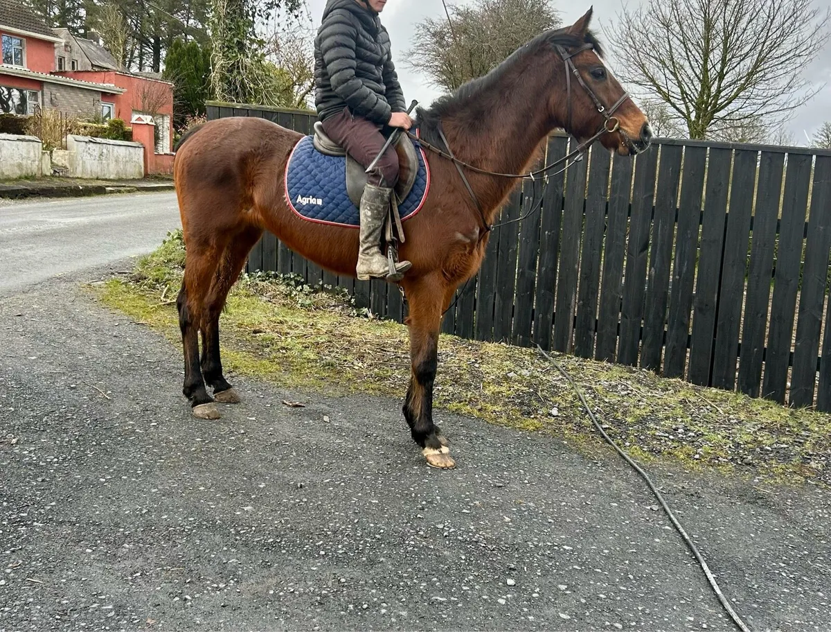 Happy hacker - Image 2