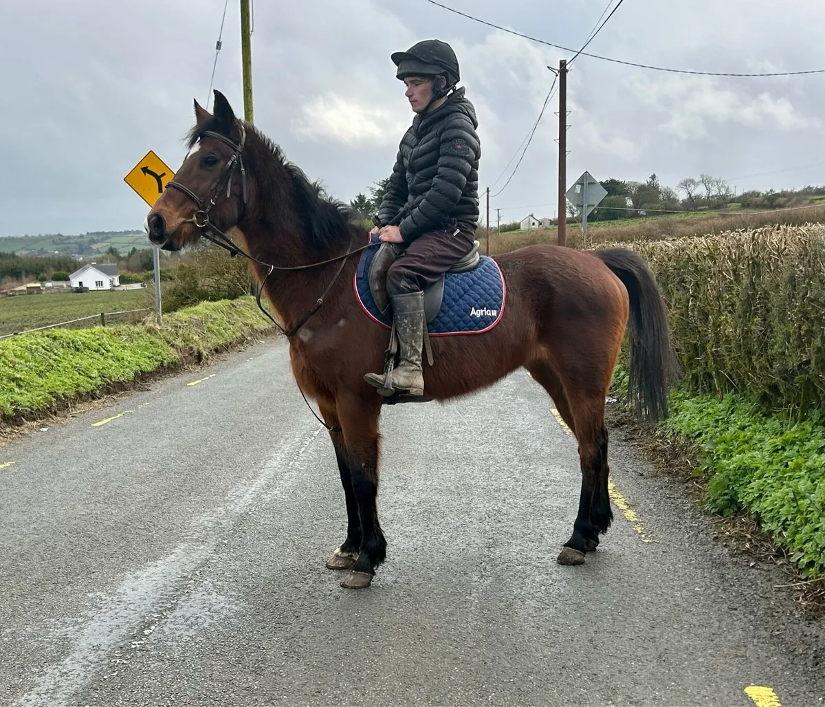 Happy hacker - Image 4