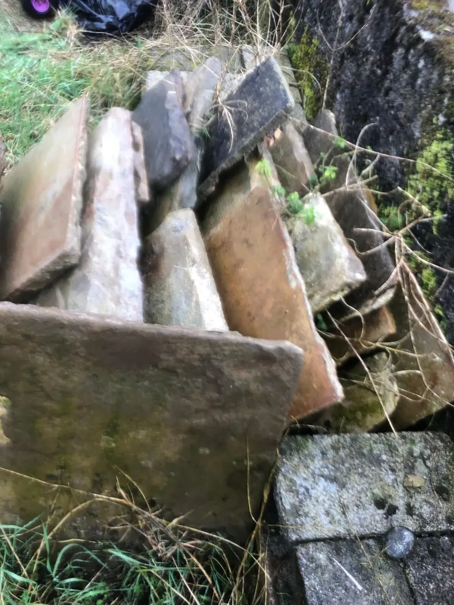 Ridge Tiles and Flag Stones - Image 4