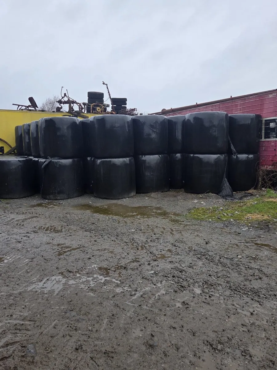 50 haylage 40 hay - Image 2