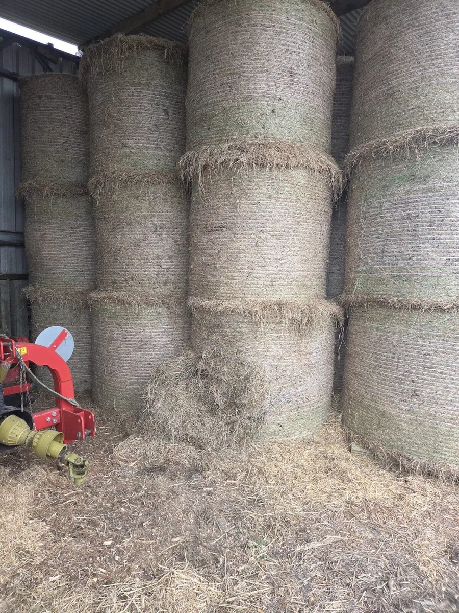 50 haylage 40 hay - Image 1