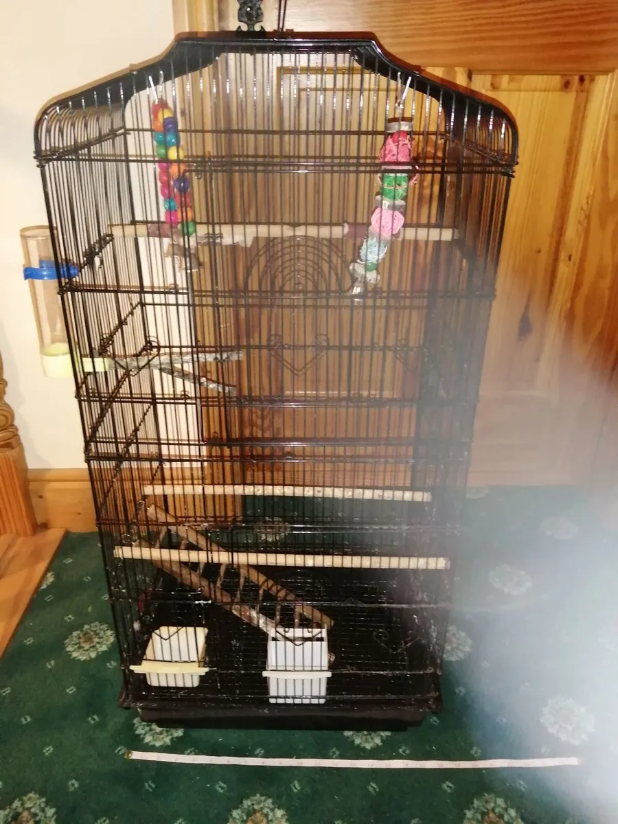 Bird cages and hamster cage - Image 1