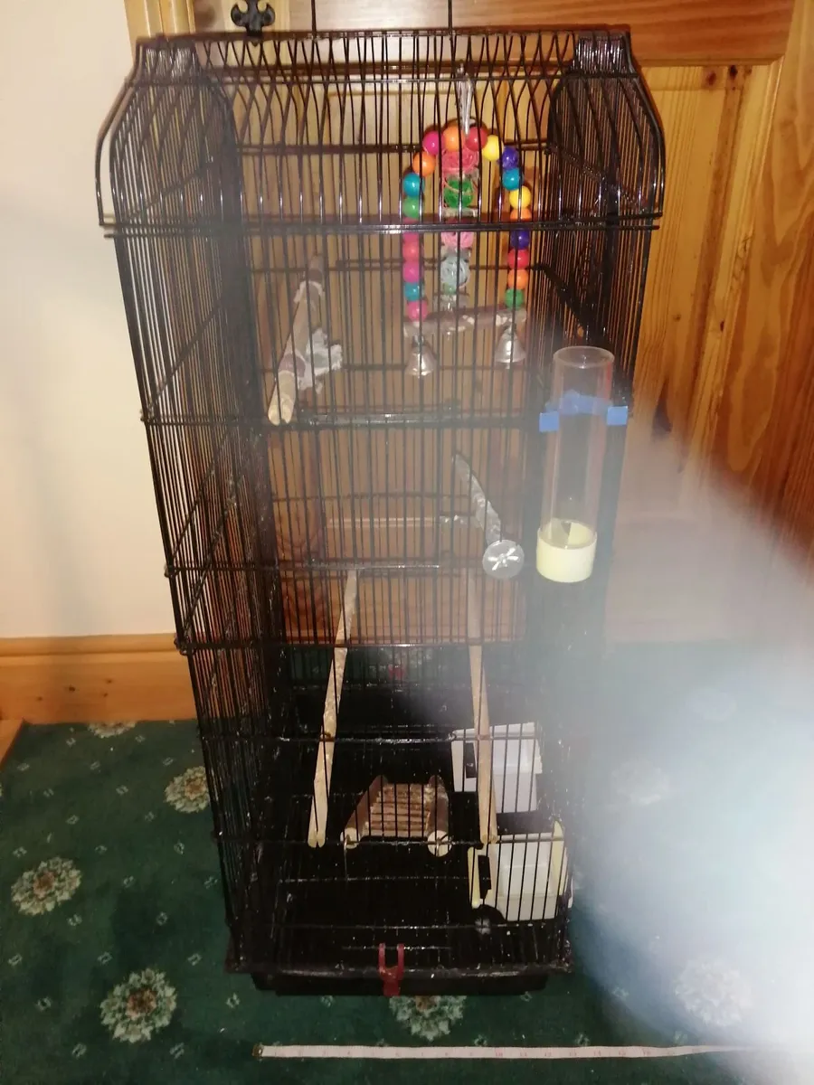 Bird cages,Full Set Up💥All 3 for €110💥 - Image 4