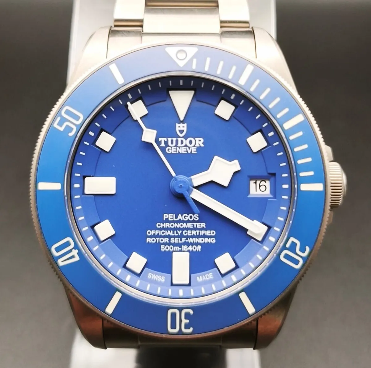 Tudor Pelagos - Image 4