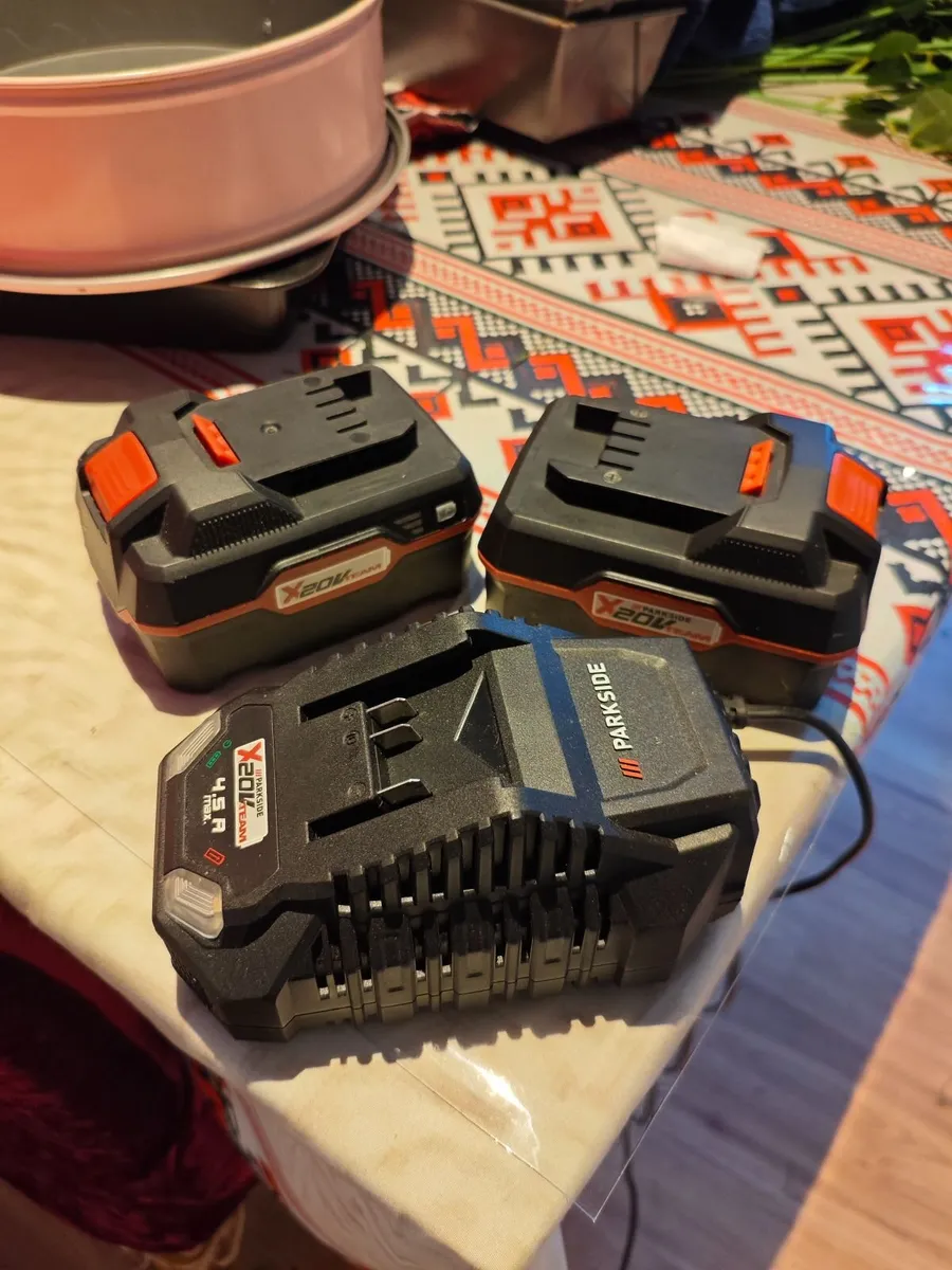 Parkside Performance Strimmer - Image 4