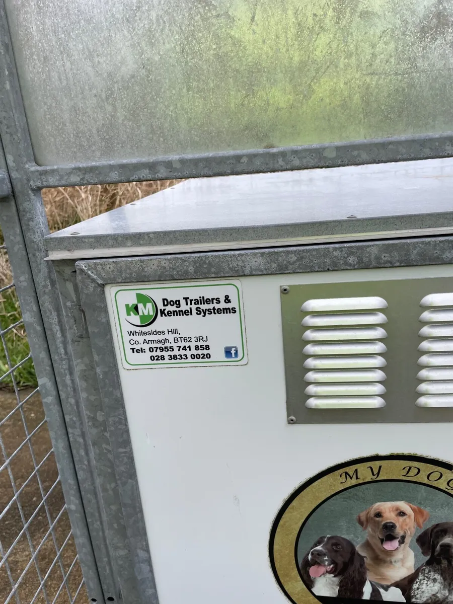 Galvanised dog runs and  large cabins - Image 1