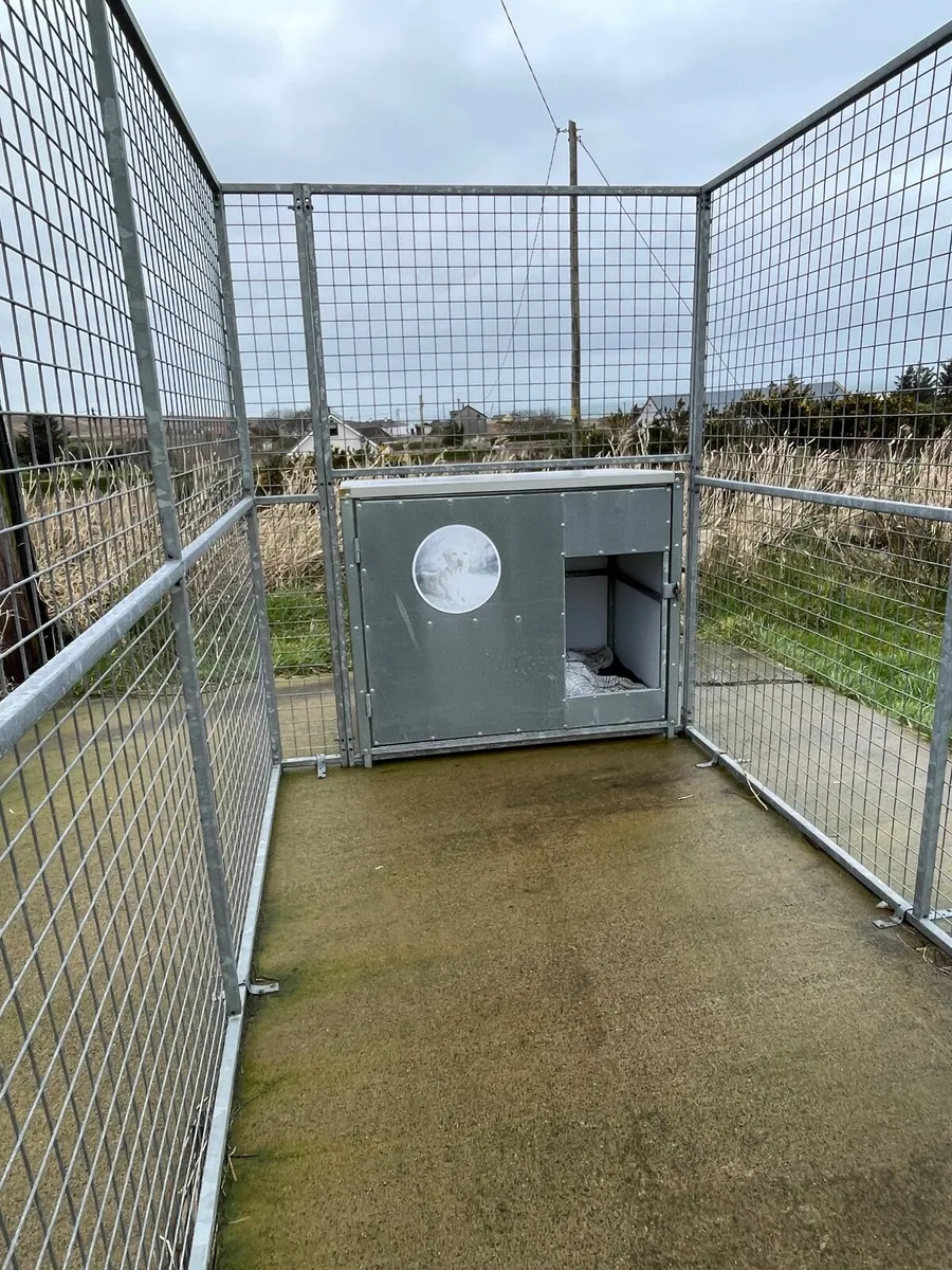 Galvanised dog runs and  large cabins - Image 3