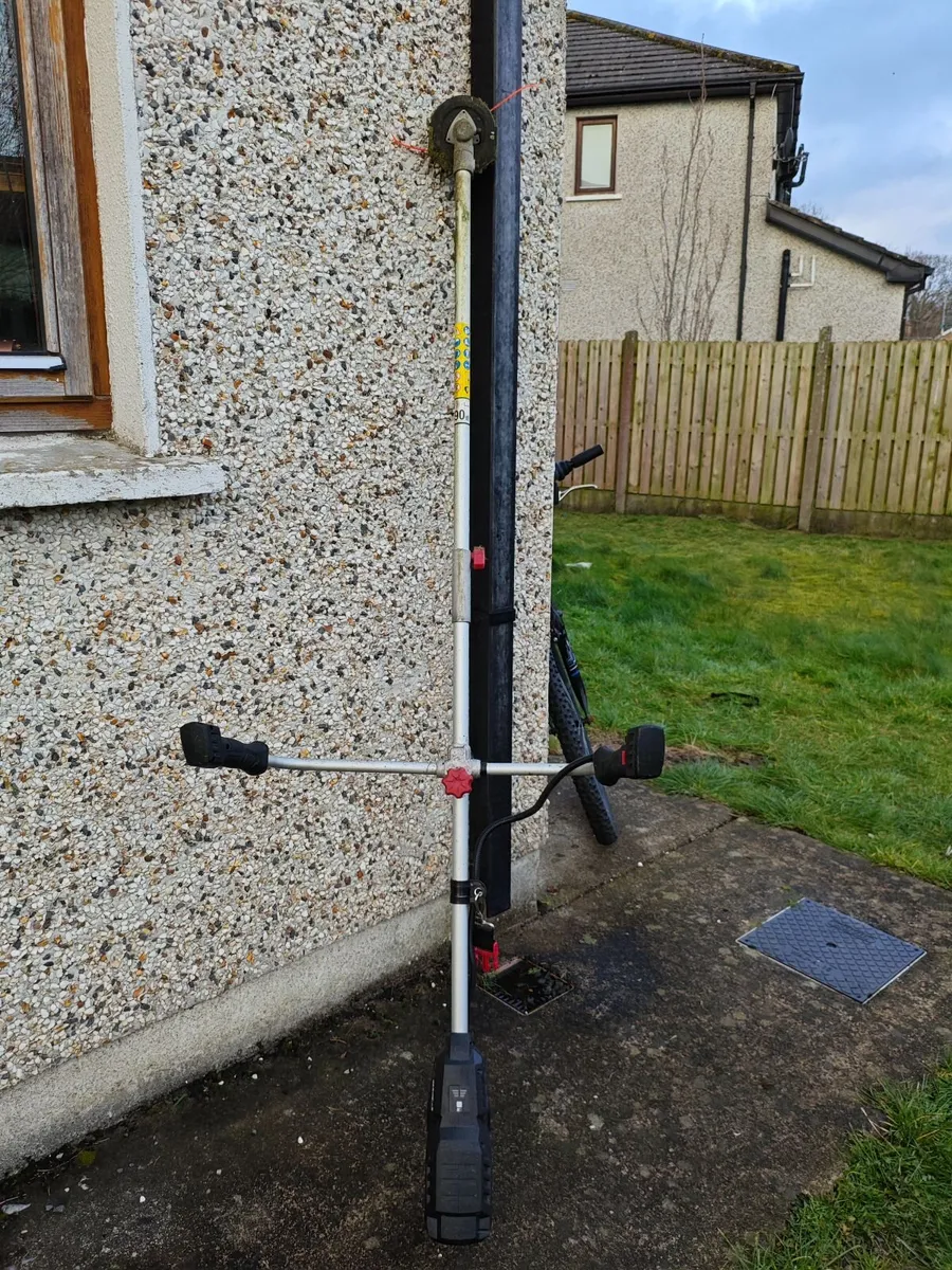 Parkside Performance Strimmer - Image 1