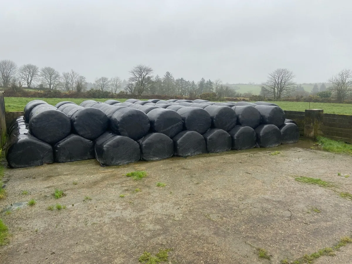 Silage bales